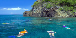 DIVING & SNORKELING TRIP ( East of Bali )