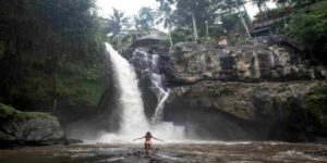 Ubud Trip A